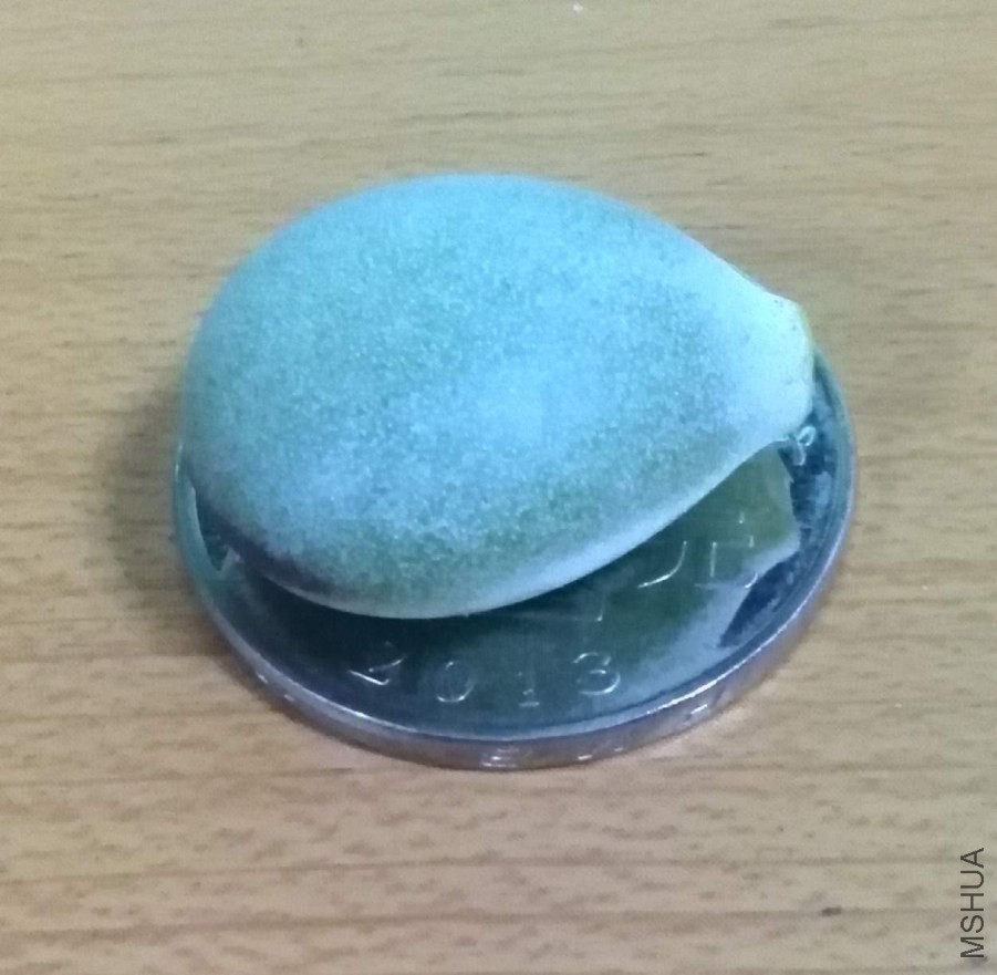 ���СҶ�Ӱ�