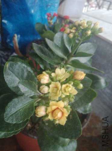 IMG_20141103_173837.jpg
