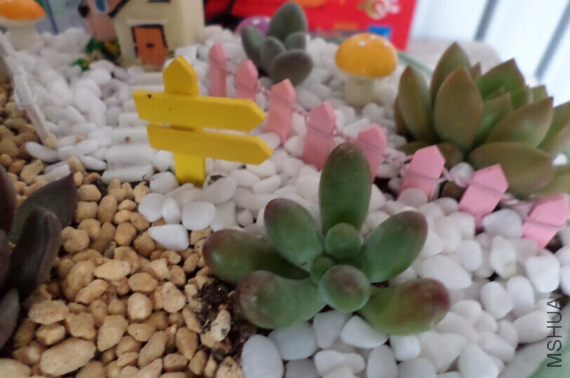 QQͼƬ20141104090409ƴ��3.jpg
