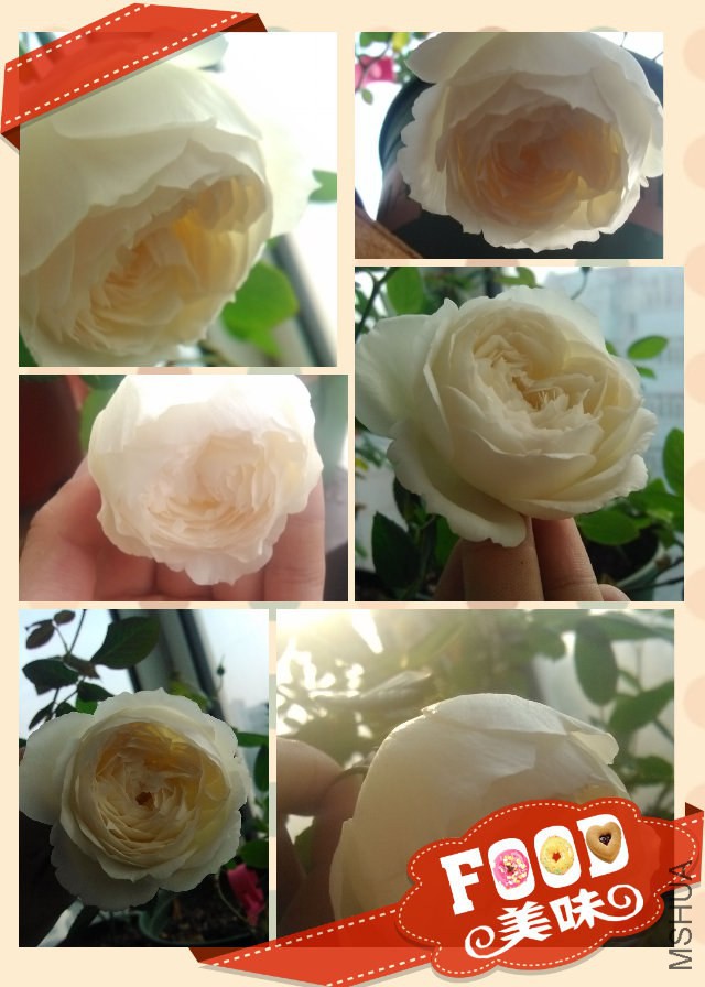 pt2014_10_30_17_00_26.jpg