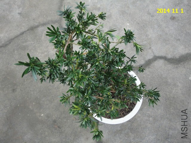 DSC06023.JPG
