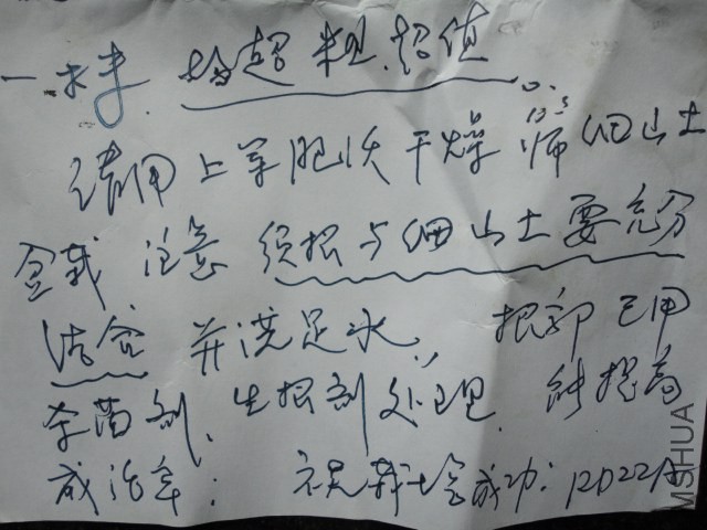 DSC06034.JPG