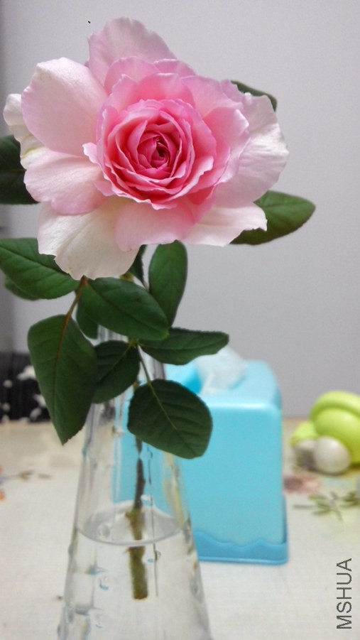 20141016204348.jpg