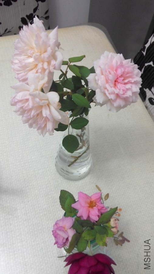 20141011172759.jpg