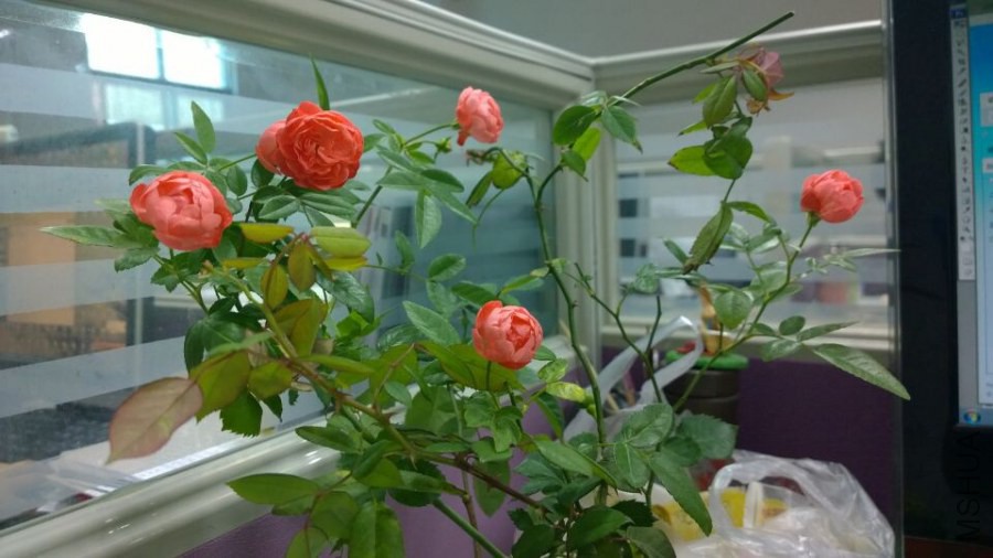 QQͼƬ20141104200429.jpg