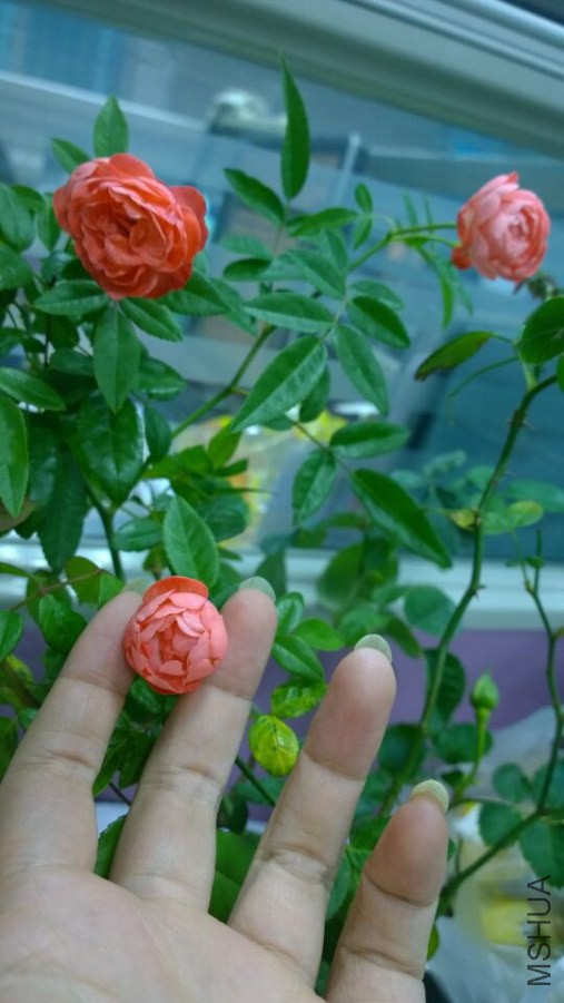 QQͼƬ20141104195957.jpg
