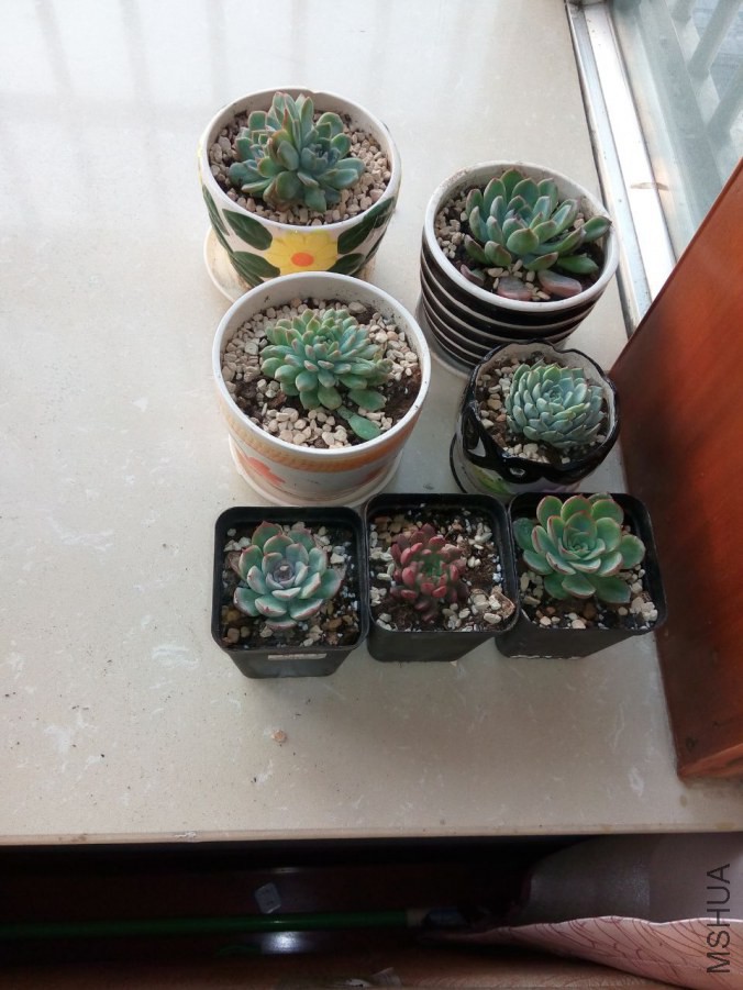 60BB884E55BEB751C9F4F8154842E6D0.jpg