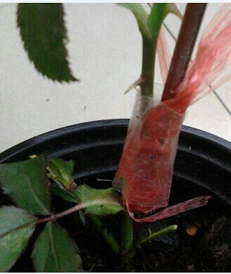QQͼƬ20141105141146.jpg