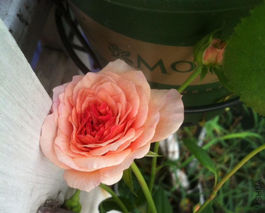 ��Ƭ 018.jpg