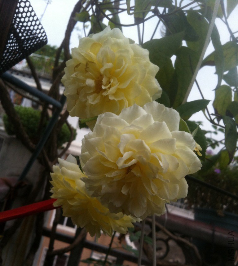 ��Ƭ 019.jpg