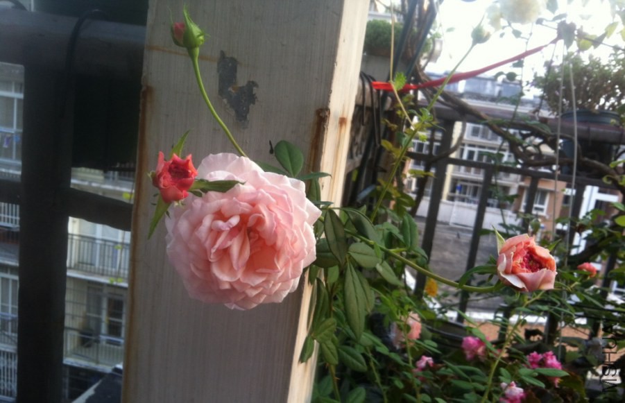 ��Ƭ 022.jpg