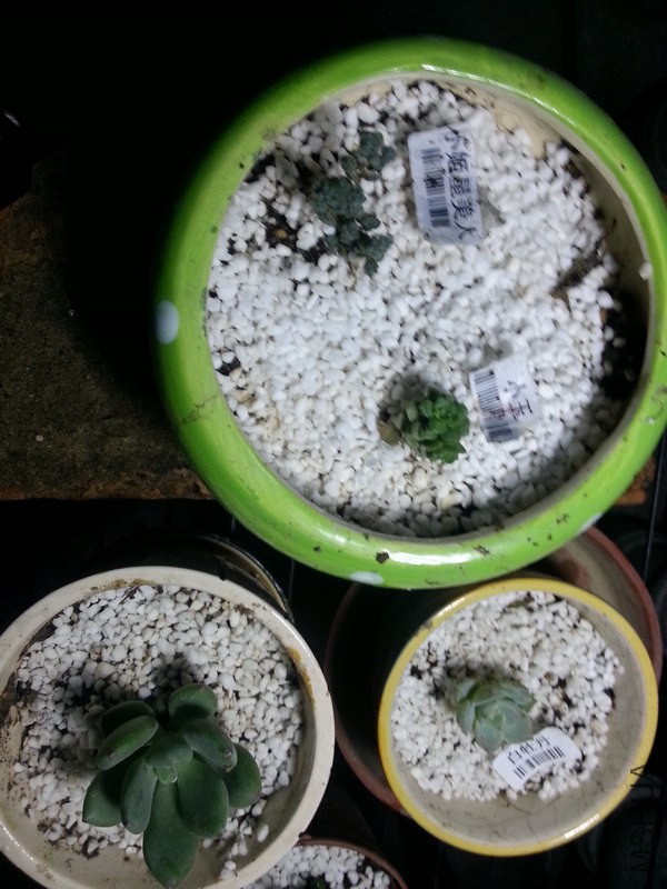 20140928_200543.jpg
