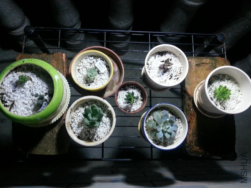 20140928_200458.jpg