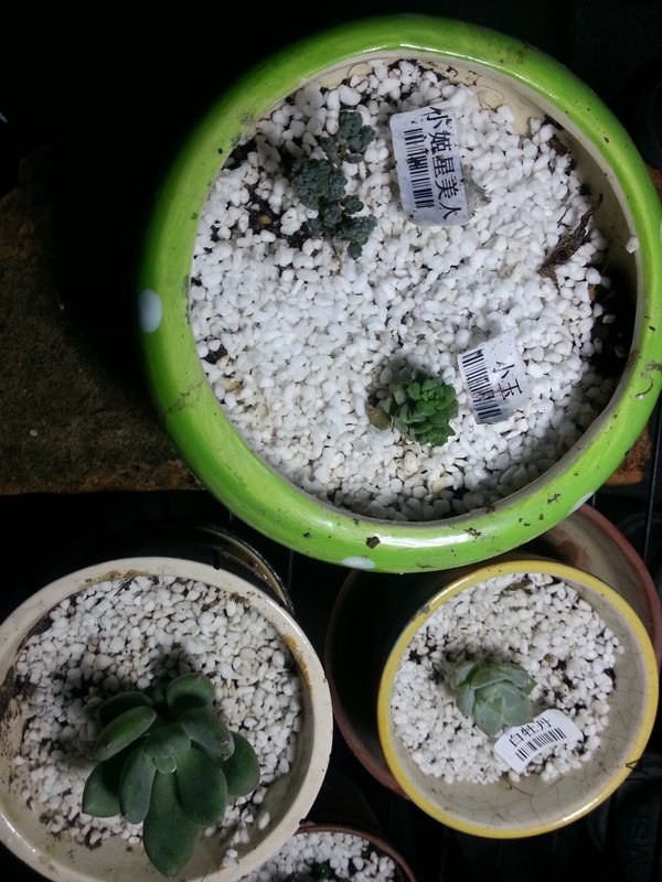 20140928_200544.jpg