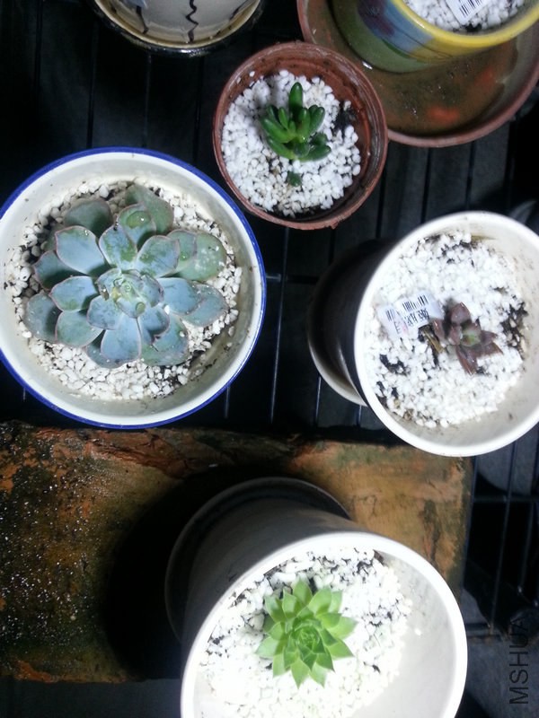 20140928_200550.jpg