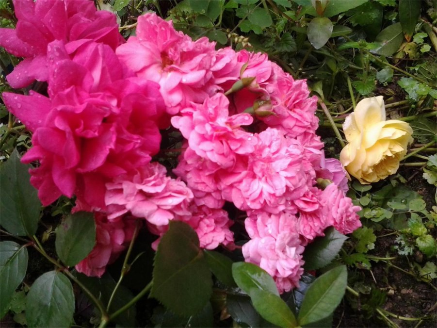 20140519_103847.jpg