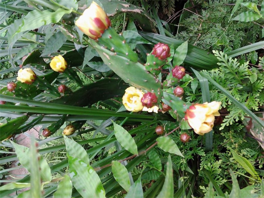 20140605_095930.jpg