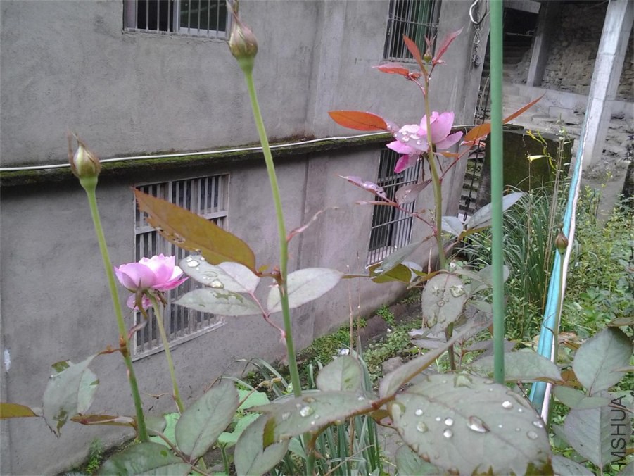 20140701_094744.jpg