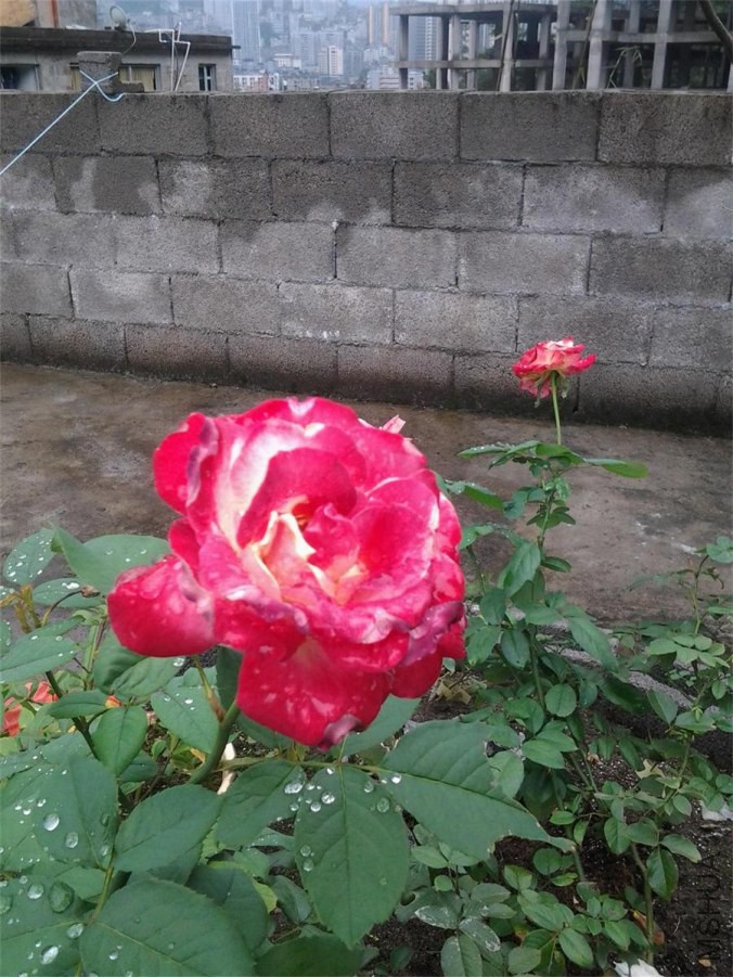 20141004_113247.jpg