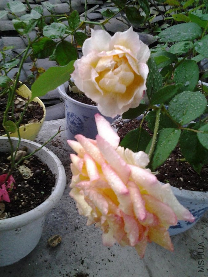 20141027_071554.jpg