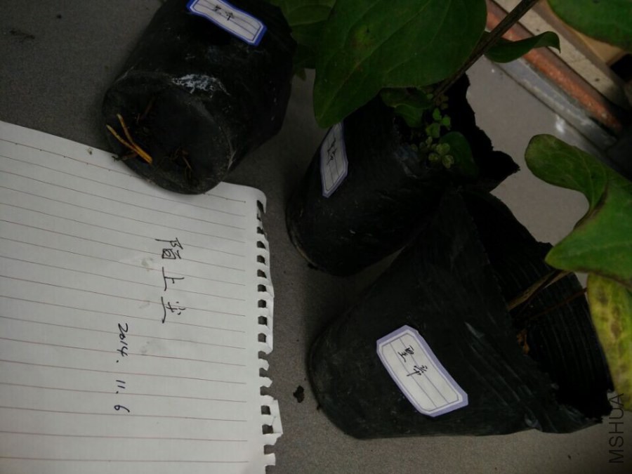 QQͼƬ20141106141516.jpg