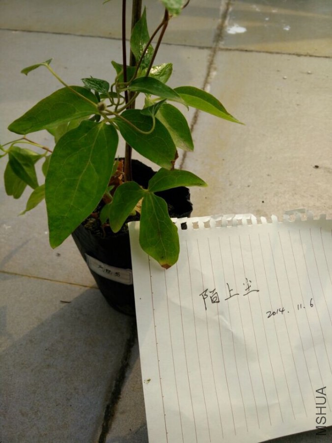QQͼƬ20141106141531.jpg
