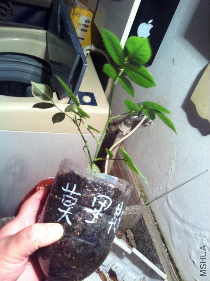 QQͼƬ20141106184831.jpg