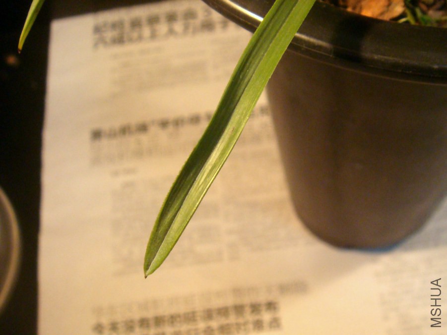 06.JPG