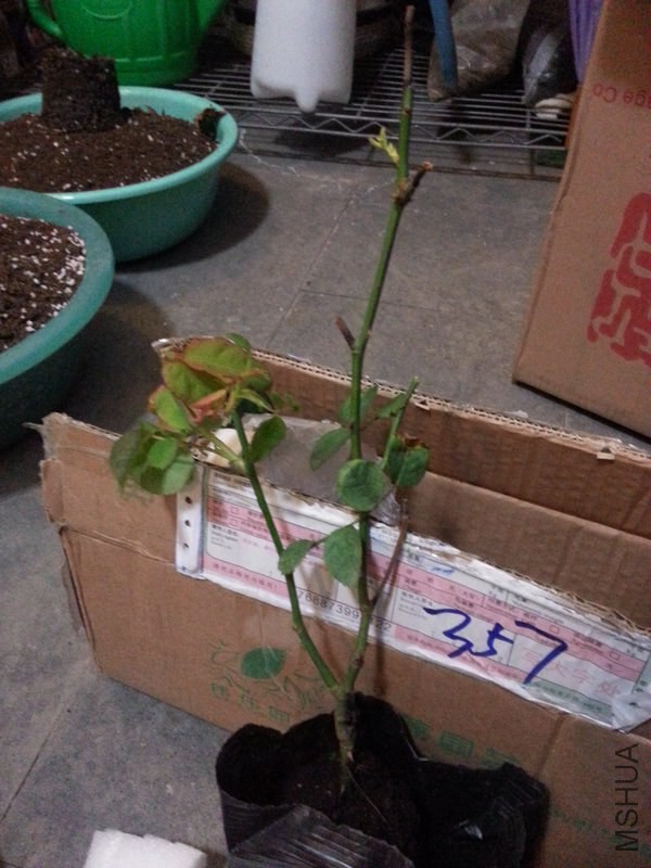 20141106_173003.jpg