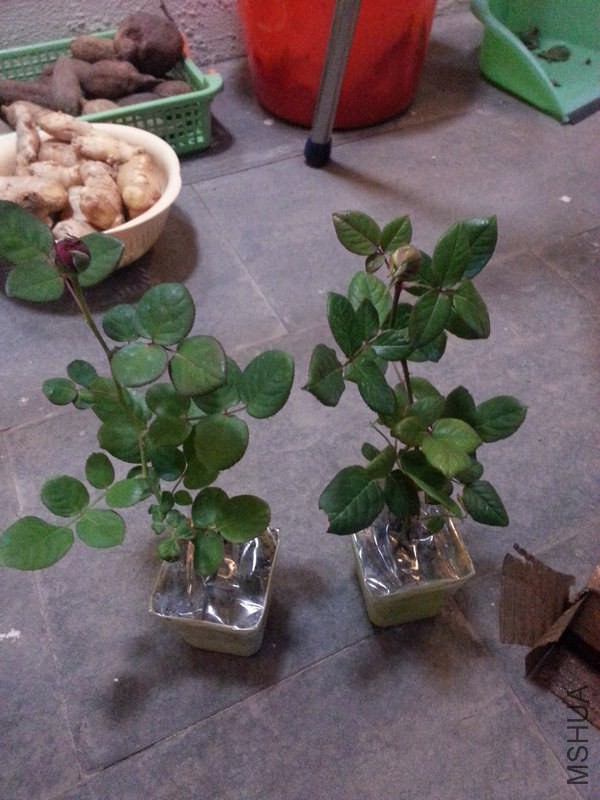 20141106_172941.jpg