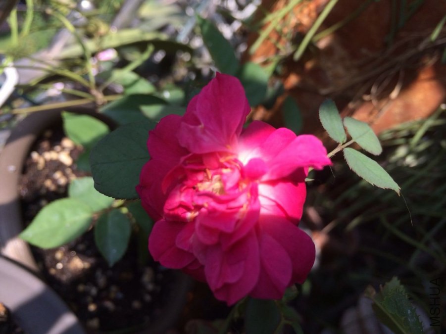QQͼƬ20141107101958.jpg