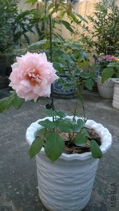 �������