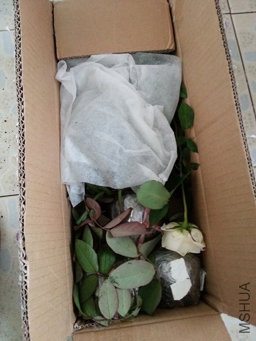 ����յ����¼����������Ǹ�����