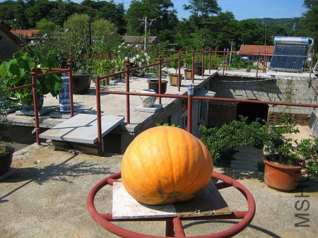 ��Ƭ 034_����777_����.jpg