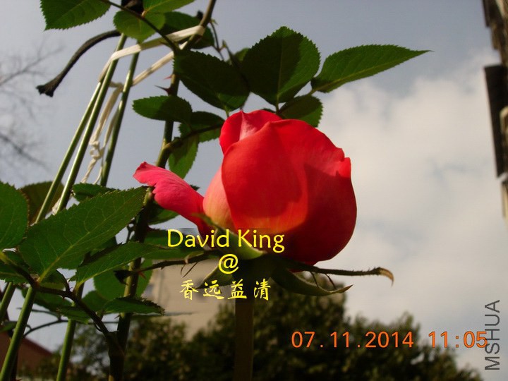 lgDSCN0636_resize.JPG