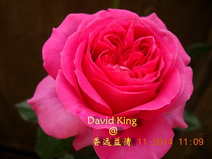 lgDSCN0662_resize.JPG