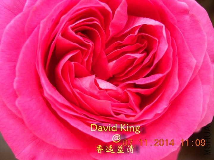 lgDSCN0668_resize.JPG