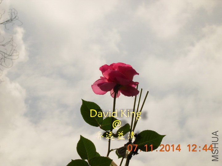 lgDSCN0817_resize.JPG
