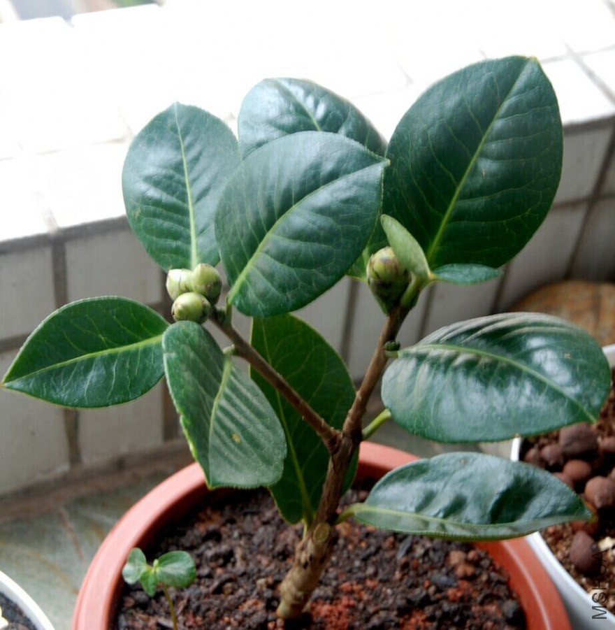 QQͼƬ20141107155518.jpg
