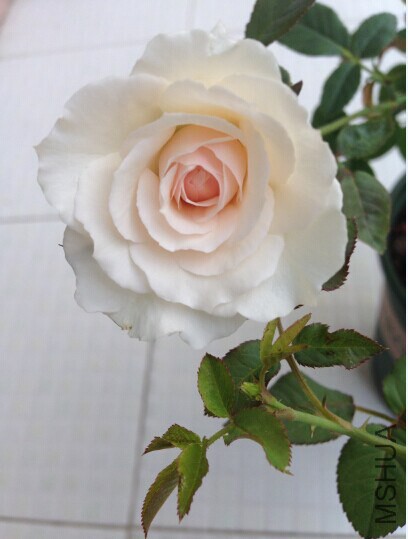 QQͼƬ20141107155631.jpg