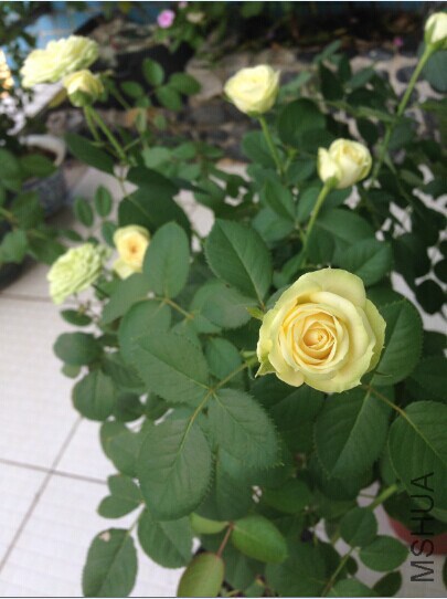 QQͼƬ20141107155806.jpg