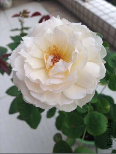 QQͼƬ20141107155953.jpg