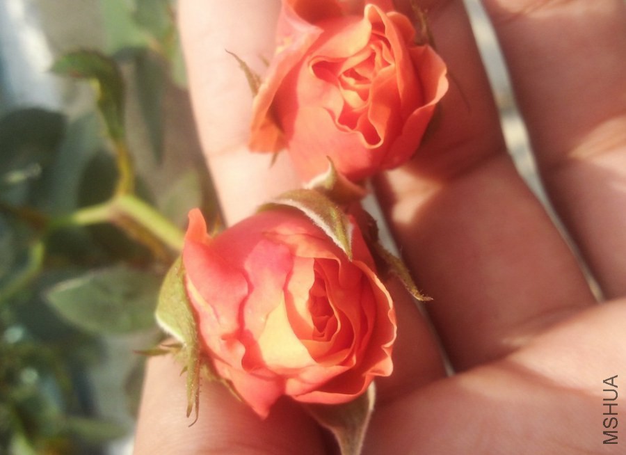 ���ν�ͼ20141107205415.jpg