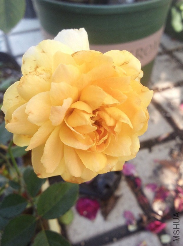 ���ν�ͼ20141107205758.jpg