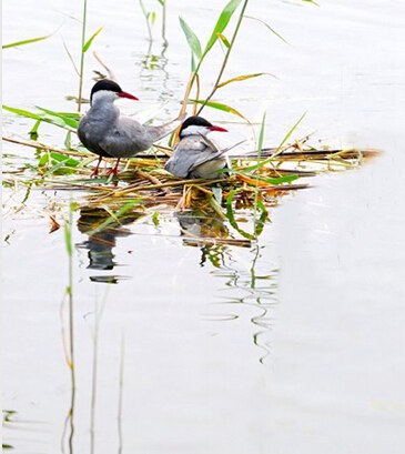 QOGS_0I(GI}10]Q0(93I.jpg