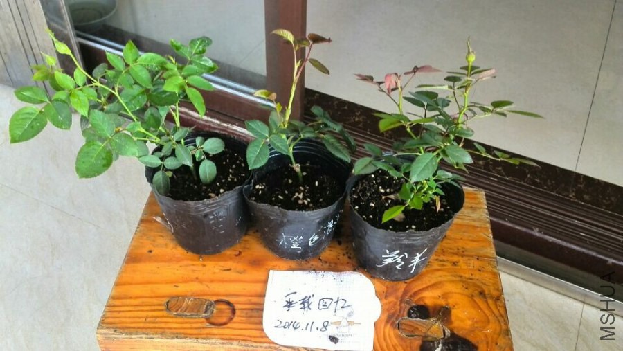 QQͼƬ20141108091942.jpg