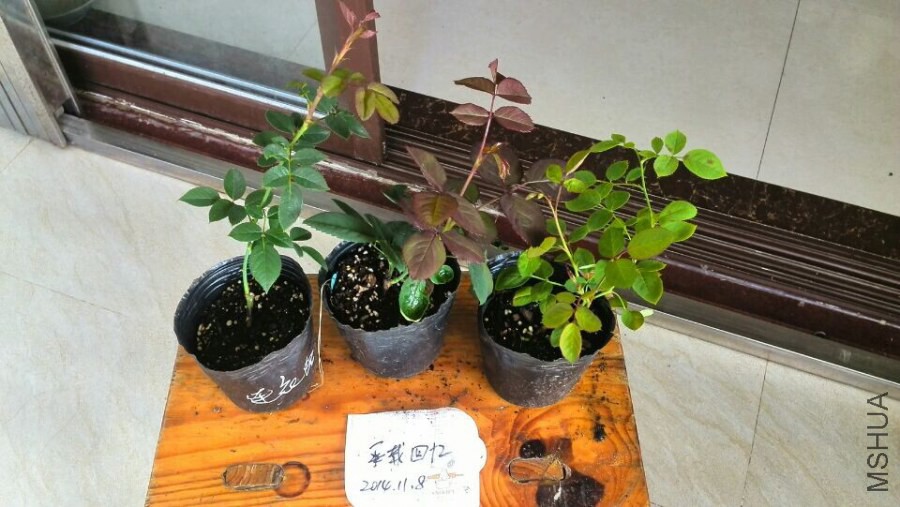 QQͼƬ20141108091947.jpg