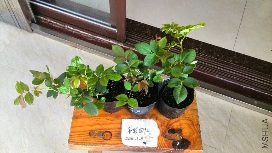 QQͼƬ20141108091955.jpg