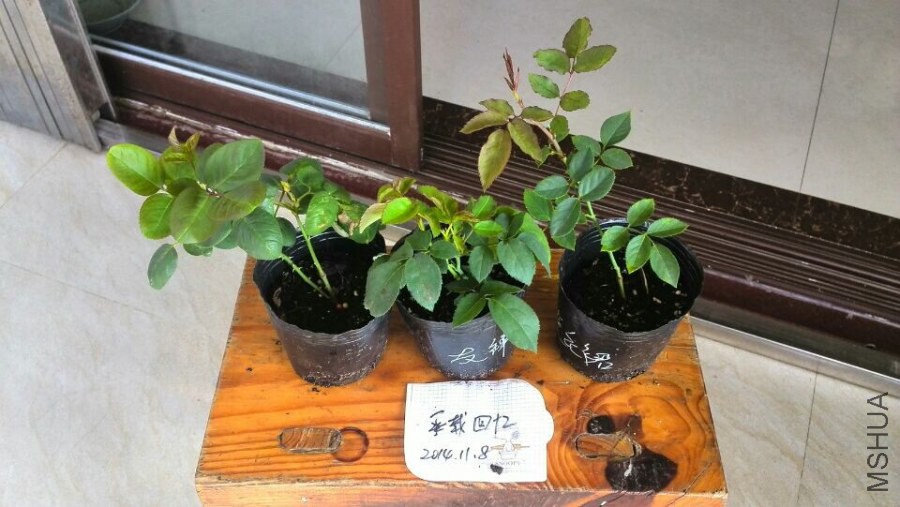 QQͼƬ20141108091959.jpg