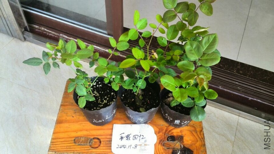 QQͼƬ20141108092011.jpg
